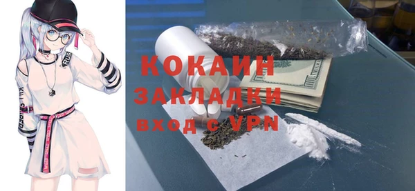 шишки Аркадак