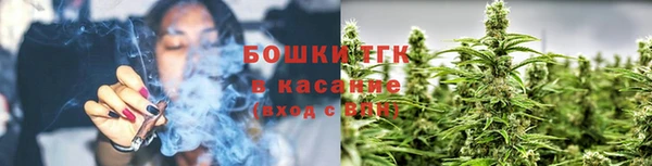 сатива Армянск