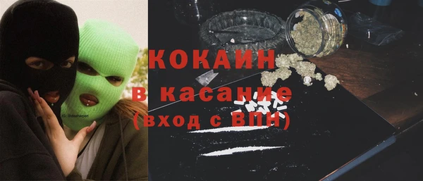 шишки Аркадак