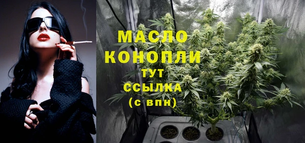 сатива Армянск