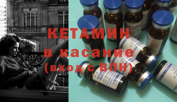 сатива Армянск