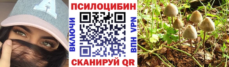 где продают наркотики  Борисоглебск  Псилоцибиновые грибы Psilocybe 